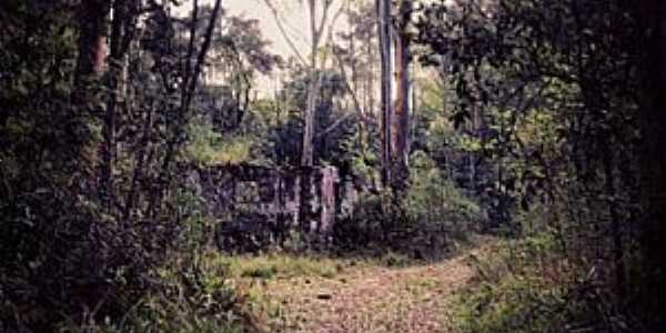 Imagens da Colnia Tindiquera, Municpio de Araucria/PR