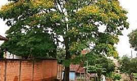 Ubauna - Imagens da localidade de Ubana - PR Distrito de So Joo do Iva - PR