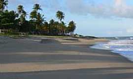 Itacimirim - Coqueiros na praia de Itacimirim-Foto:Poloniux