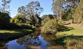 Campo do Coelho - Imagens do distrito de Campo do Coelho, municpio de Nova Friburgo/RJ