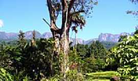 Guapimirim - Vista da Serra dos Orgos-Foto:Henrique.Cesar 