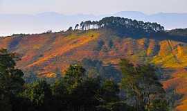 Itatiaia - Itatiaia-RJ-Parque Nacional de Itatiaia-Foto:kilsonRJ