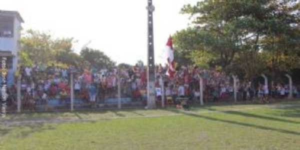 TORCIDA GREN E BRANCA, Por JUNIOR