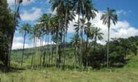 Porto Velho do Cunha - Passa Trs, Por Marilene de Assis