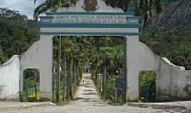 Santa Maria Madalena - Horto Florestal Santos Lima em Santa Maria Madalena-RJ-Foto:marioguimaraes