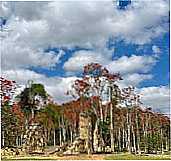 Parque Arqueolgico e Ambiental de So Joo Marcos - RJ