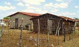 Bento Fernandes - Casas em rea rural-Foto:bandeiracientifica.com.br