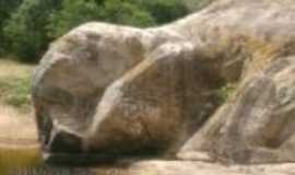 Campo Redondo - pedra no stio letreiro em formato de uma tartaruga, a ocorre inscries rupetres, Por ana karenine de medeiros siqueira