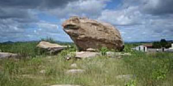 Pedra do sapo, Foto: Davi de S.