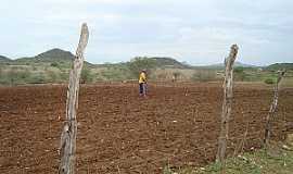 Ipiranga - Ipiranga-RN-Sertanejo preparando a terra-Foto:Ewerton