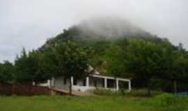 Tenente Ananias - Fazenda serra do pico, Por Nivea Lafaete