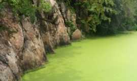 Tenente Ananias - Paredes no lago da cachoeira do Moror, Por Anailza Feitoza dos Santos