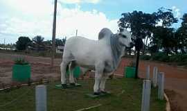 Chupinguaia - Chupinguaia-RO-Monumento noTrevo de acesso-Foto:amarildo Varela