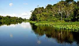 Corumbiara - Parque Estadual de Corumbiara - RO