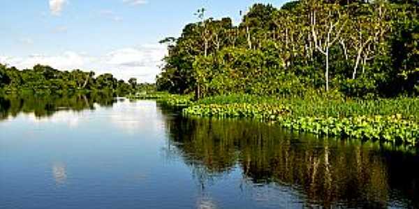 Parque Estadual de Corumbiara - RO