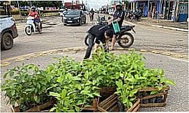 Urup� - Imagens da cidade de Urup� - RO