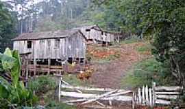 Aratiba - Propriedade rural no interior de Aratiba-RS-Foto:eltonstrada