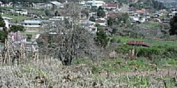 Vista da cidade de Arco Verde-Foto:F. Bonatto