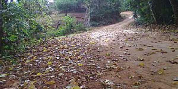 Imagens do distrito de Atiau, municpio de Sarandi/RS