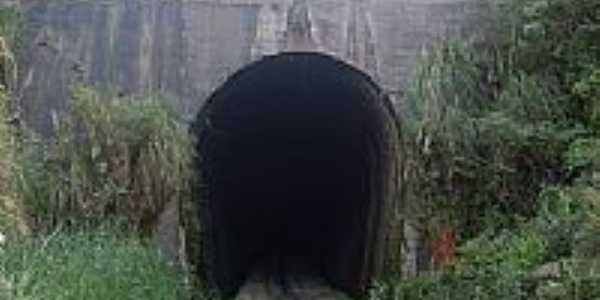 Túnel de linha ferroviária-Foto:Claiton Neisse 