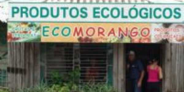 Ecomorango e casa Arteso, Por Adriana Steffen