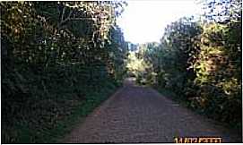 Bom Retiro - Estrada Arborizada- eltonstrada
