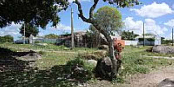 Dois Riachos-AL-Imagem da regio da Pedra de Padre Ccero-Foto:Luiz Svio de Almeida.