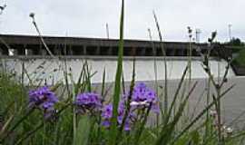 Camaqu - Flores no gramado do Vertedouro da Barragem em Camaqu-Foto:Henrique de BORBA