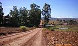 Campinas do Sul - Fazenda-eltonstrada