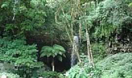 Campo Branco - Gruta e Cachoeira em Campo Branco-Foto:gionatannicolini