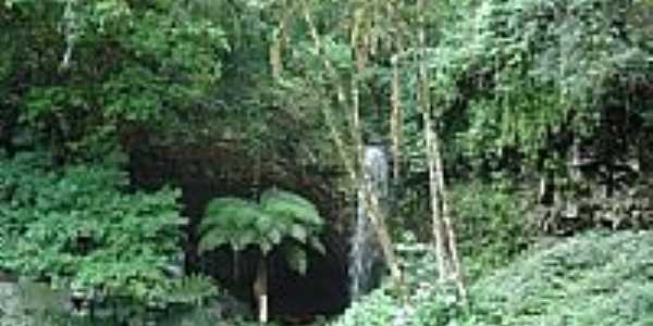 Gruta e Cachoeira em Campo Branco-Foto:gionatannicolini