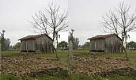 Campo Vicente - Campo Vicente-por Liceo Piovesan