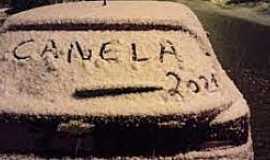 Canela - Imagens da cidade de Canela/RS com queda de neve-Julho/2021-Foto:UOL Notcias