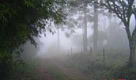 Canudos do Vale - Neblina em estrada do Interior-Giovani Joo Sartori