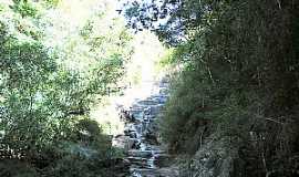 Cerro Grande do Sul - Imagens de Cerro Grande do Sul - RS Foto Prefeitura Municipal