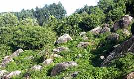 Cerro Grande do Sul - Imagens de Cerro Grande do Sul - RS Foto Prefeitura Municipal