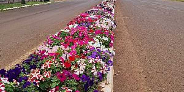 Imagens da cidade de Colorado - RS