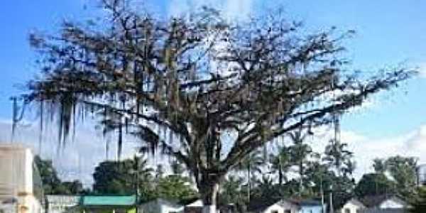 Imagens da localidade de Juerana distrito de Caravelas - BA