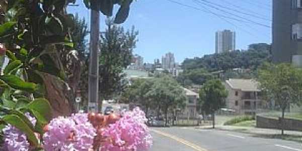 Imagens do bairro Cruzeiro, municpio de Caxias do Sul/RS