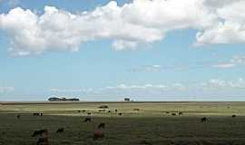 Curral Alto - Curral Alto-RS-Campos de pastagem da regio-Foto:Igor Sperotto