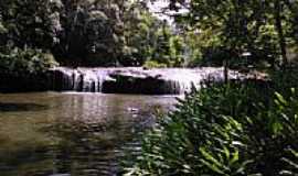 Dois Irmos - Primeira Cascata da Reserva Famlia Lima em Dois Irmos-RS-Foto:Archimedes