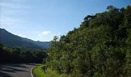 Dois Irmos - Rodovia na serra em Dois Irmos-RS-Foto:Elisa Nascimento