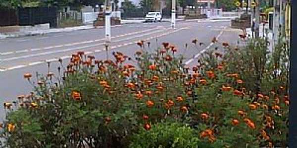 Imagens da cidade de Dona Francisca - RS