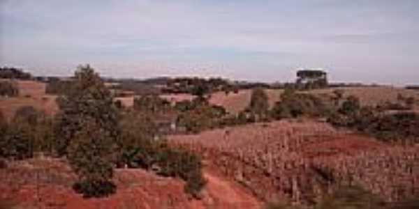 Campos prximos de Erebango-Foto:THIAGO DAMBROS 