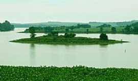 Ernestina - Ilha da Barragem de Ernestina-Foto:cpinzon