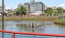 Estrela - Lago do parque e Centro profissional ao fundo