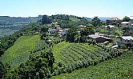 Faria Lemos - Vista dos vinhedos-Foto:ValdemarFroener 