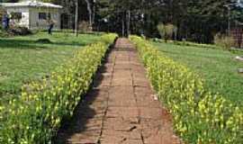 Frederico Westphalen - Corredor de flores no Colgio Agrcola foto
Luiz carlos santos