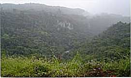 Garibaldi - Paisagem com Neblina-por eltonstrada