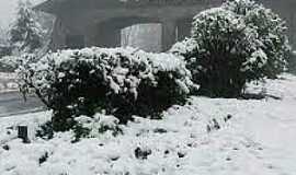 Gramado - Imagens da cidade de Gramado/RS com queda de neve - Julho/2021